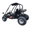 Trailmaster Eagle 200XRS Buggy / Go Kart Full Size Youth and Adult cart ages 13 and up. Off road High Torque Higher Reveving Motor
