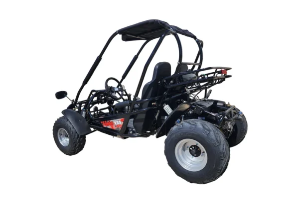 Trailmaster Eagle 200XRS Buggy / Go Kart Full Size Youth and Adult cart ages 13 and up. Off road High Torque Higher Reveving Motor