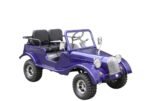 GR-2 Safari Series 3 125cc