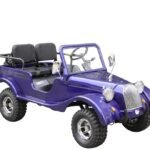 GR-2 Safari Series 3 125cc