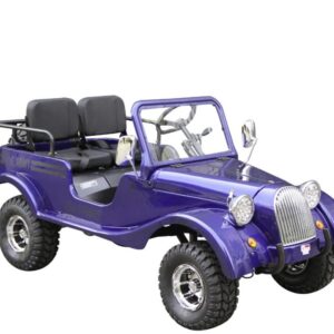 GR-2 Safari Series 3 125cc