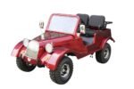 GR-5 Safari Series 3 125cc - Image 4