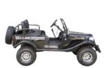 GR-5 Safari Series 3 125cc - Image 5