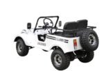 GR-5 Safari Series 3 125cc - Image 6