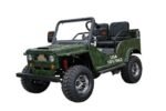 GR-2 Safari Series 3 125cc - Image 3