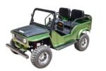 GR-2 Safari Series 3 125cc - Image 4