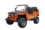 GR-2 Safari Series 3 125cc - Image 5