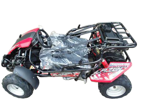 Trailmaster Blazer 200R Go Kart Youth Go Kart. Ages 10 and up, Mid size Kids cart, Body Kit with reverse.