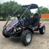 Trailmaster Blazer i200R, All Electric, 48 Volt max, Lithium Battery Pack , Up to 36 Mile range, 3 forward speeds