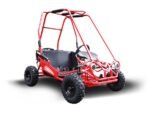TRAILMASTER Eagle MINI XRS+ - Image 12