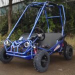 TRAILMASTER Eagle MINI XRS+