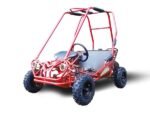 TRAILMASTER Eagle MINI XRS+ - Image 11