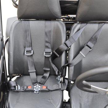 Trailmaster Eagle 200XRS Buggy / Go Kart Full Size Youth and Adult cart ages 13 and up. Off road High Torque Higher Reveving Motor