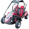 Trailmaster Blazer 200R Go Kart Youth Go Kart. Ages 10 and up, Mid size Kids cart, Body Kit with reverse.