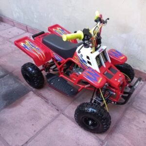 Best First Bike for Kids: Mini Banshee vs. 50cc Dirt Bike vs. Kids' ATV