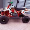 49cc Mini 2-Stroke Kids Banshee