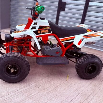 49cc Mini 2-Stroke Kids Banshee
