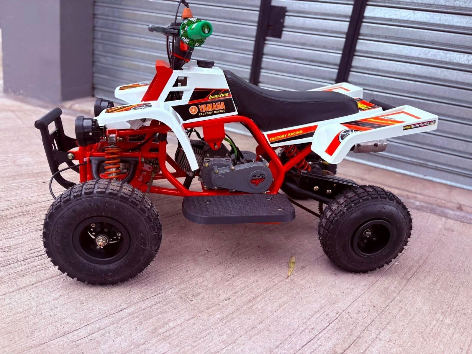 49cc Mini 2-Stroke Kids Banshee