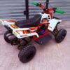 49cc Mini 2-Stroke Kids Banshee