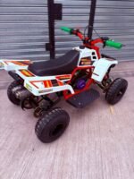 49cc Mini 2-Stroke Kids Banshee