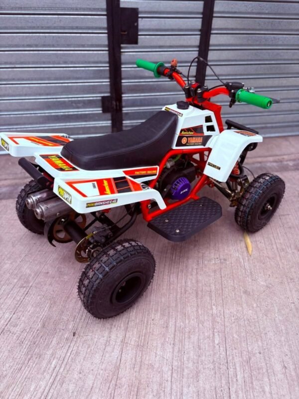 49cc Mini 2-Stroke Kids Banshee