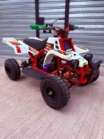 49cc Mini 2-Stroke Kids Banshee