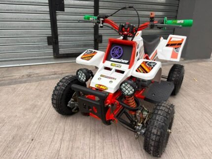 49cc Mini 2-Stroke Kids Banshee