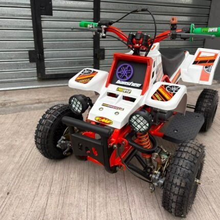 49cc Mini 2-Stroke Kids Banshee
