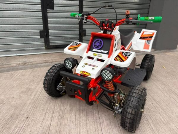 49cc Mini 2-Stroke Kids Banshee