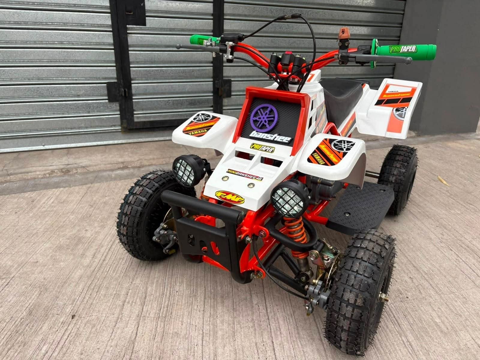 49cc Mini 2-Stroke Kids Banshee