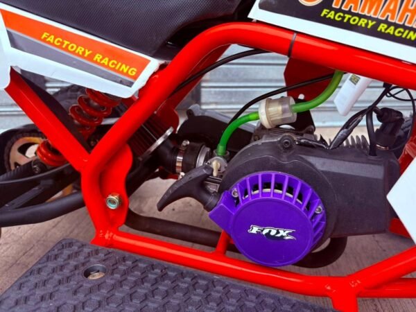 49cc Mini 2-Stroke Kids Banshee