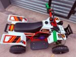 49cc Mini 2-Stroke Kids Banshee