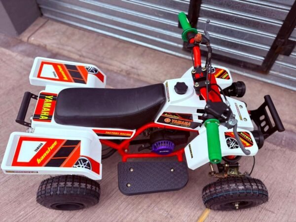 49cc Mini 2-Stroke Kids Banshee