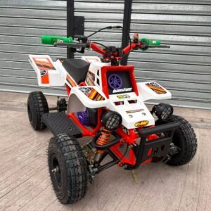 49cc Mini 2-Stroke Kids Banshee