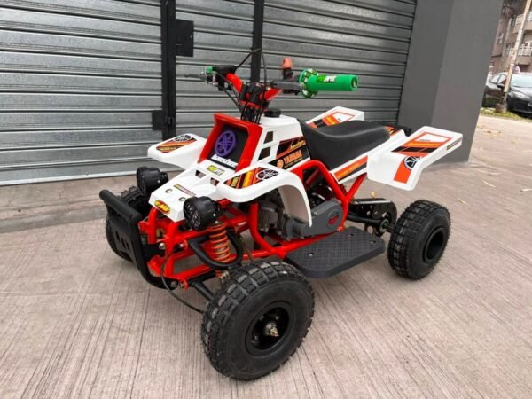 49cc Mini 2-Stroke Kids Banshee