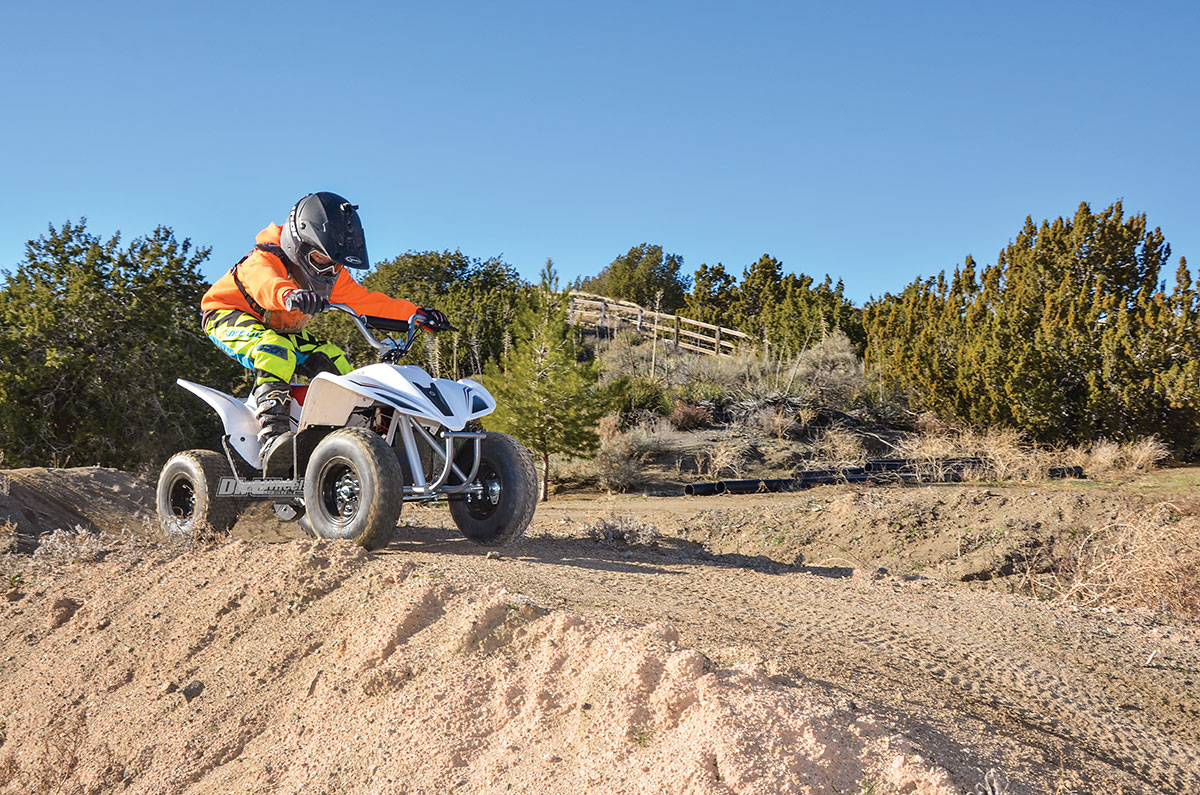 Young child riding a kids ATV quad on grass in backyard