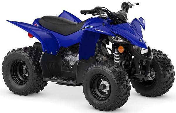 Kids 49cc ATV quad for young beginner riders