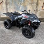 2008 Yamaha Wolverine 350