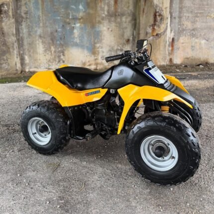 2001 Suzuki LT80