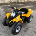 2001 Suzuki LT80