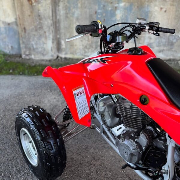 2014 Honda TRX400X