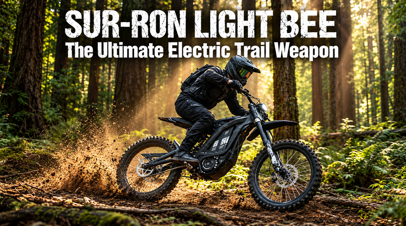 Sur-Ron Light Bee
